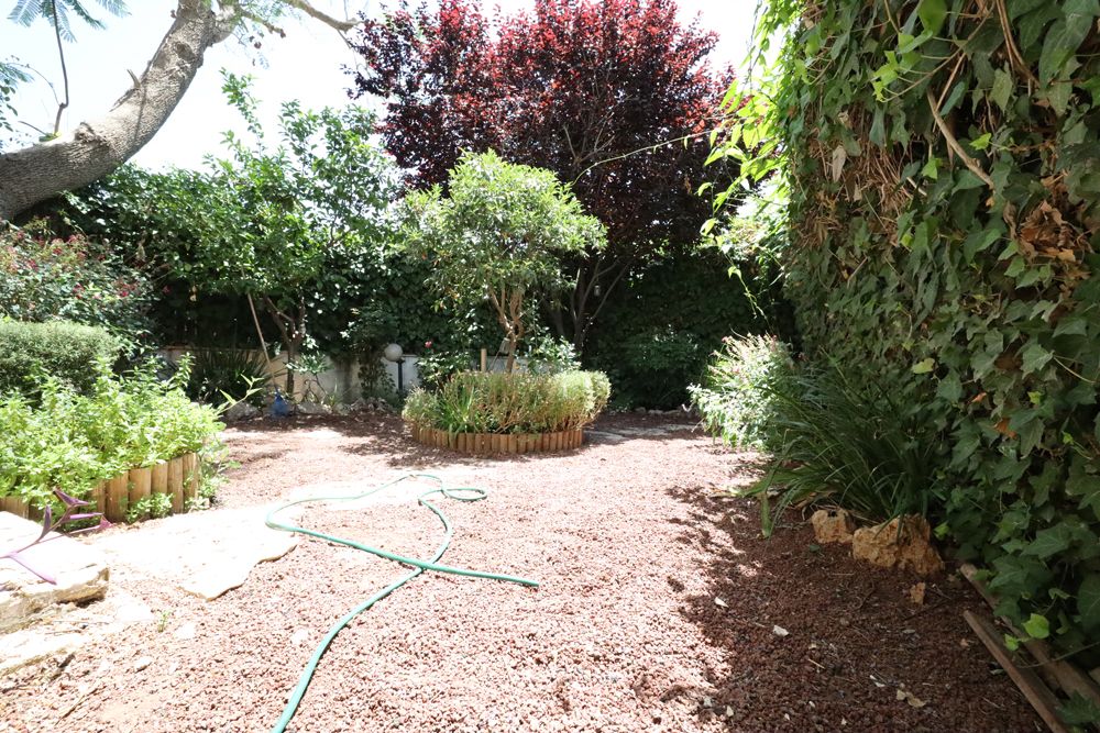 מהסמארטפון שלי